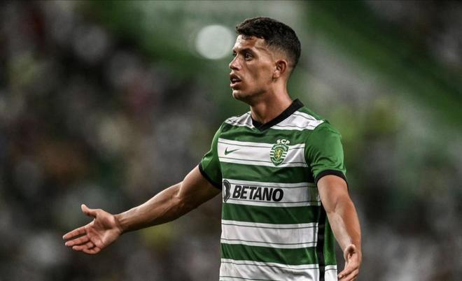 赢了就是最 赢了就是最